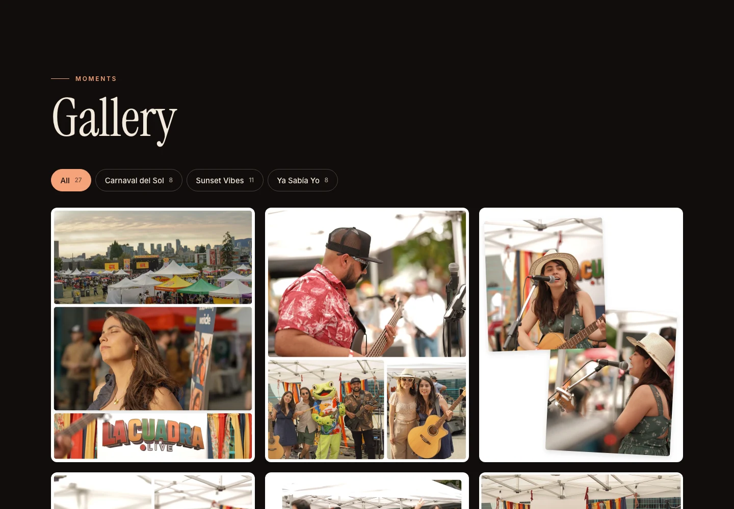 The Gallery section with photo albums from live shows and festivals